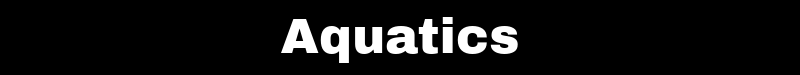 Enews 800 x 75 Aquatics (1).png